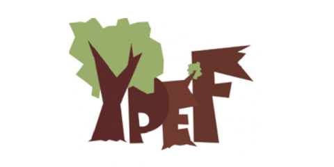 Obrázek: loga/logo-ypef.png